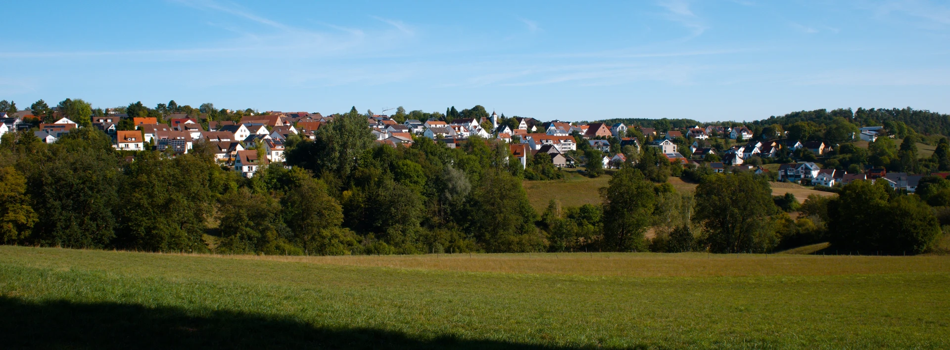 Panoramic view of a small village at a slope with a line of bushes and smaller trees as well as grassland in between.