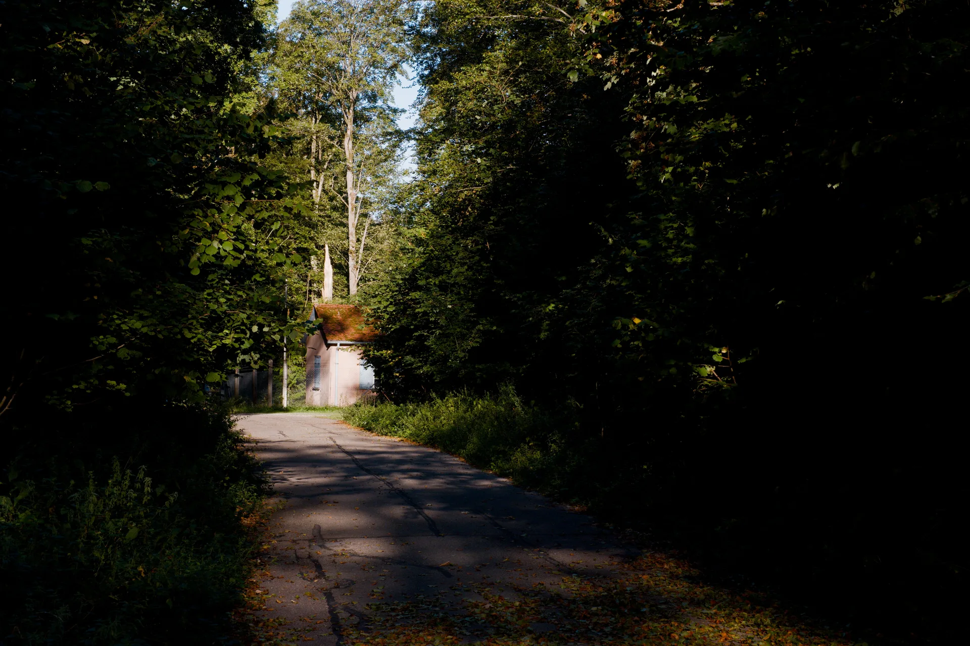 A way in a forest with lots of broadleaves. A little bit down the road is a small building with a class tiled roof and a rose pastel paint.