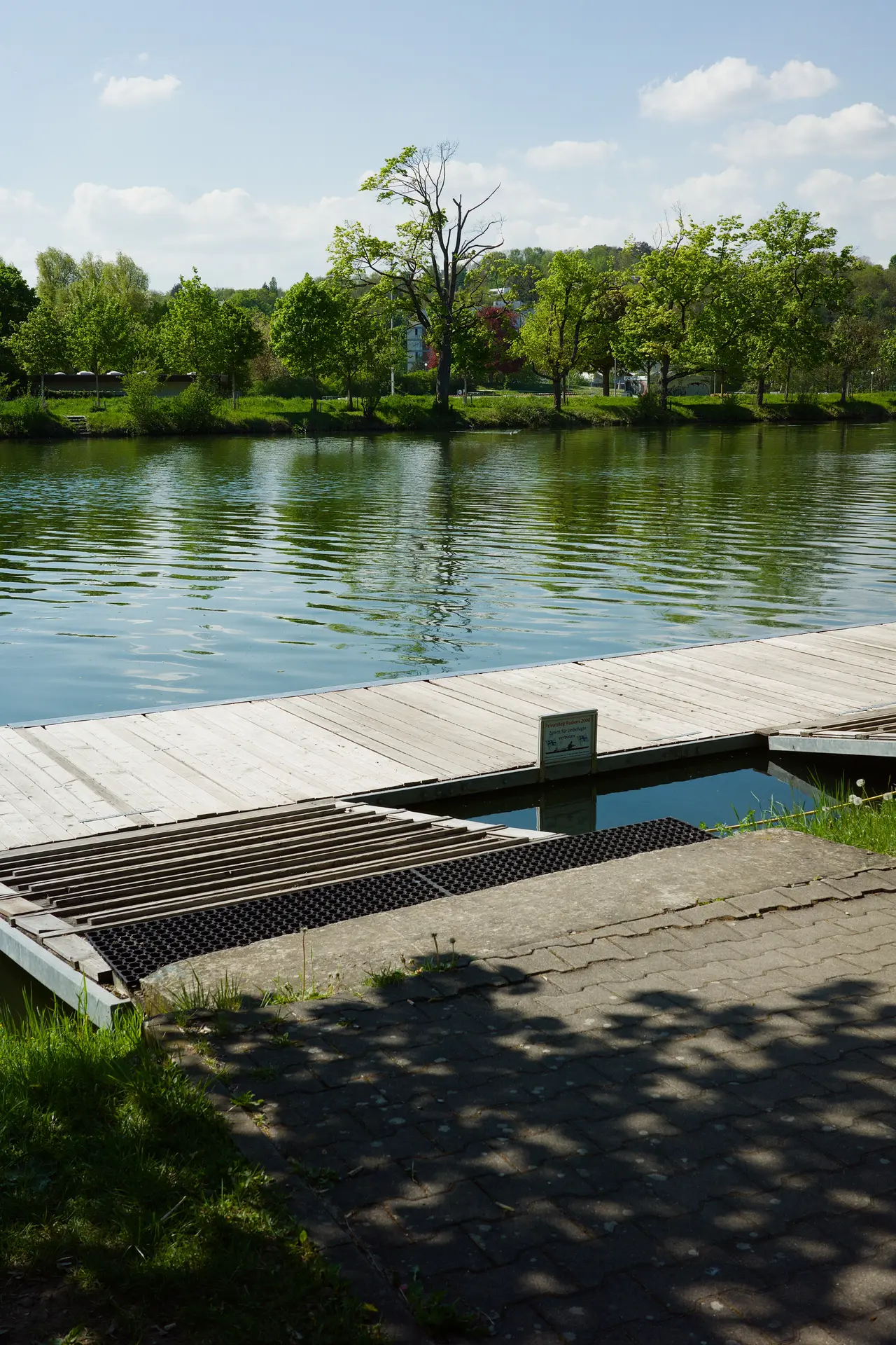 A small pier in the foreground, behind it the Danube river and on the other side a row of trees with one outstanding tree due to its higher size.