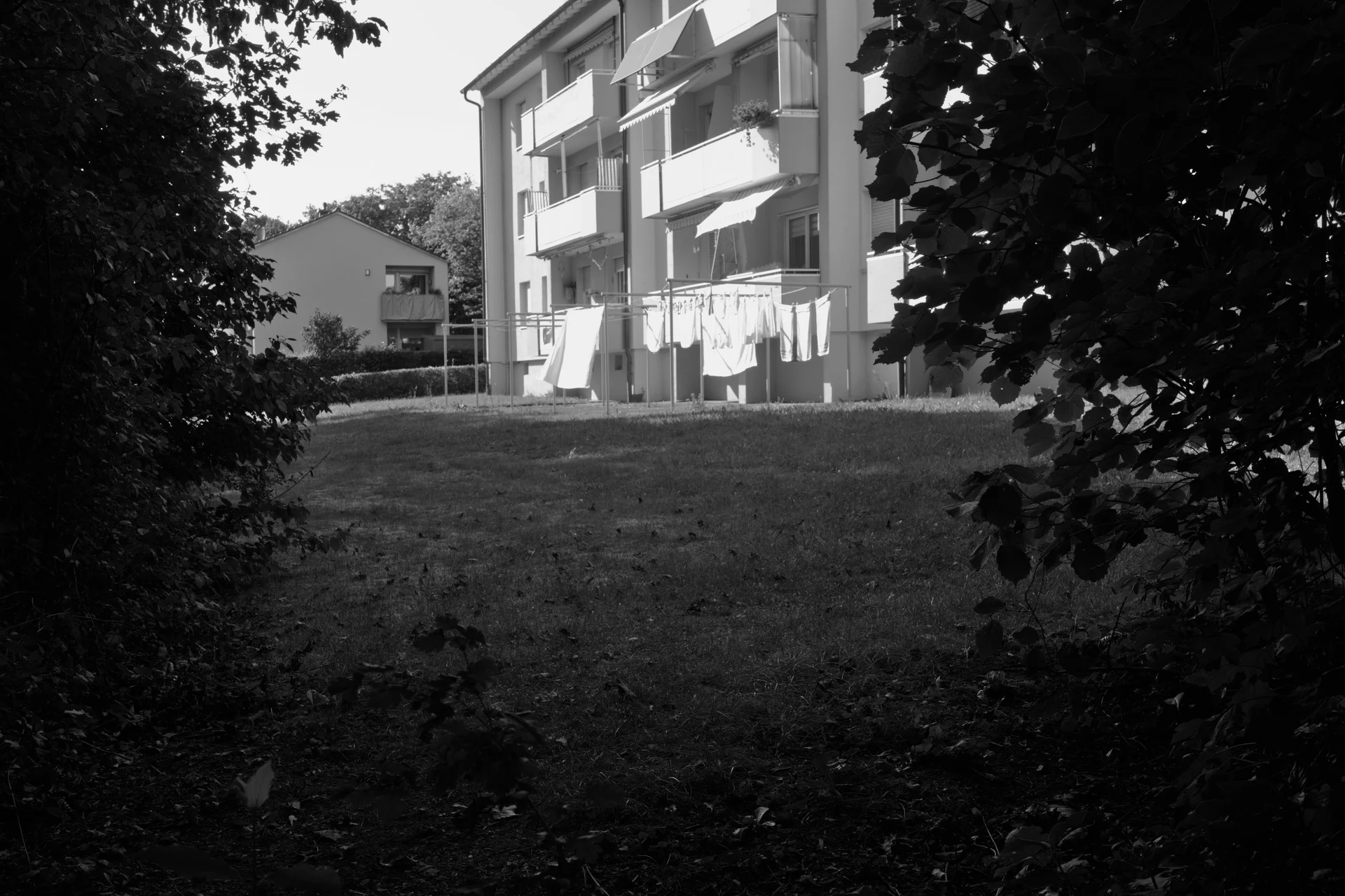 Clothes drying rack in front of an appartment building, full with towels and sheets. The scene is framed by some bushes.