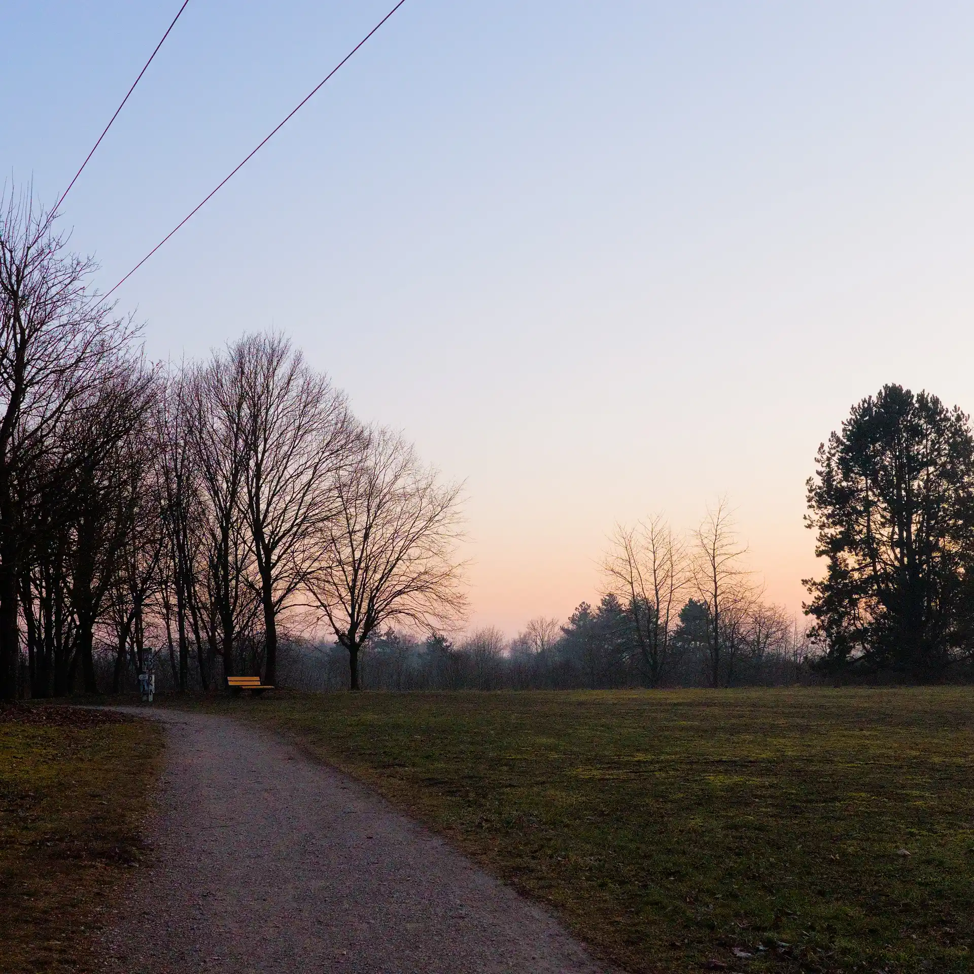 A bench in something like a park. The scene is lit dimly by sunset colours.