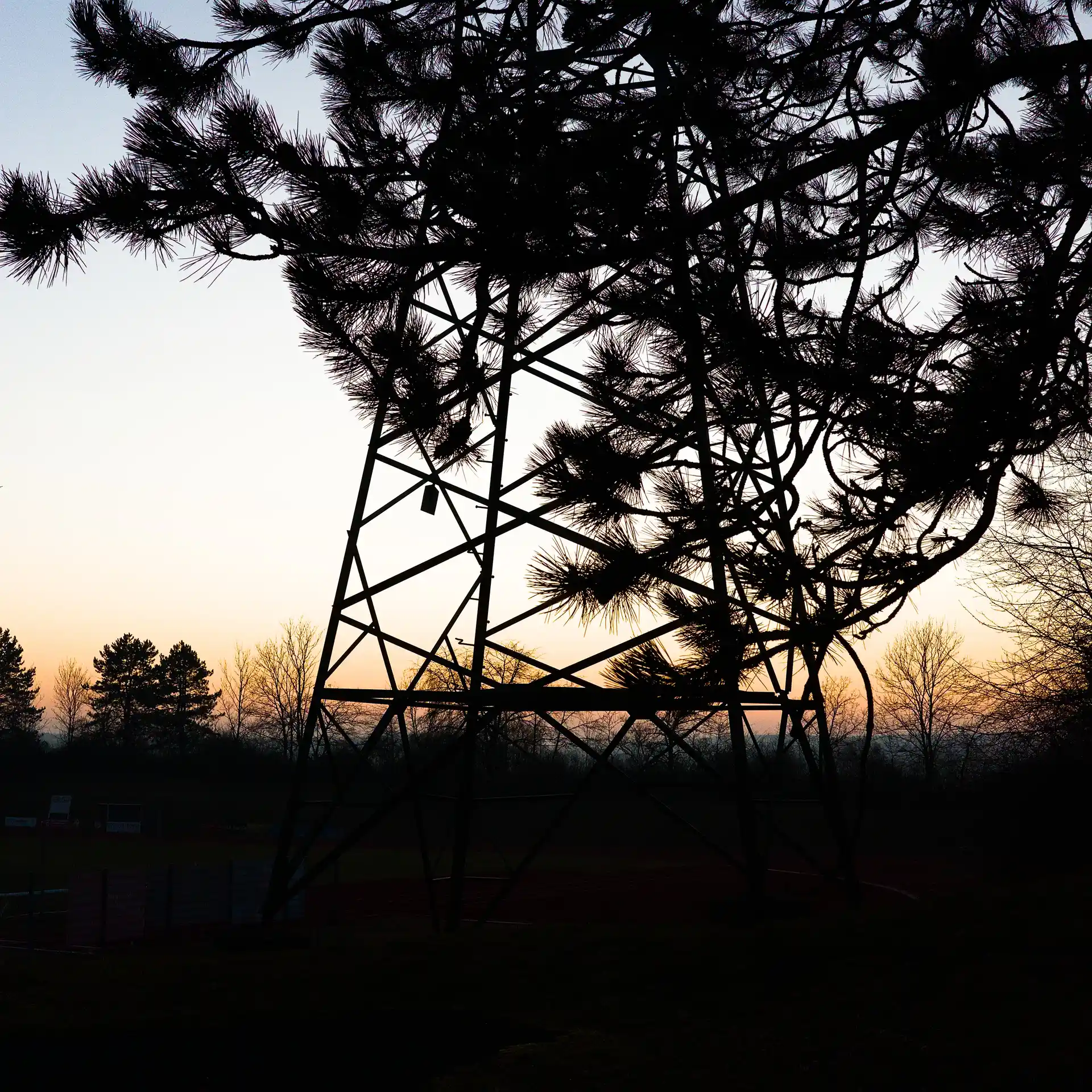 The sunset sky in the background is overlaid by the silhouette of a transmission tower and the branches of a tree.