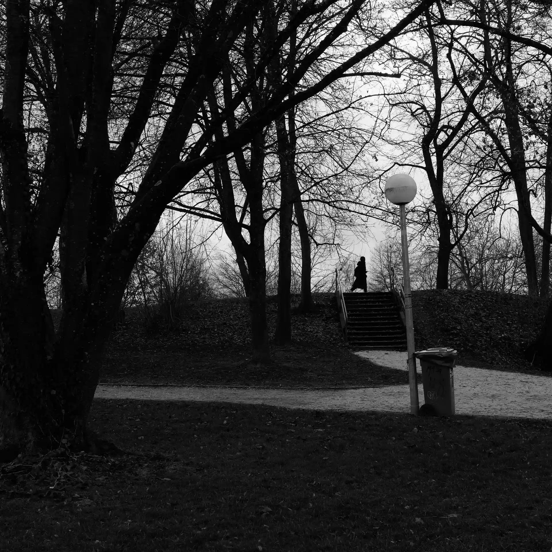 A park with many trees in the frame. In the background a short stairway with a person swiftly walking by at the top end.