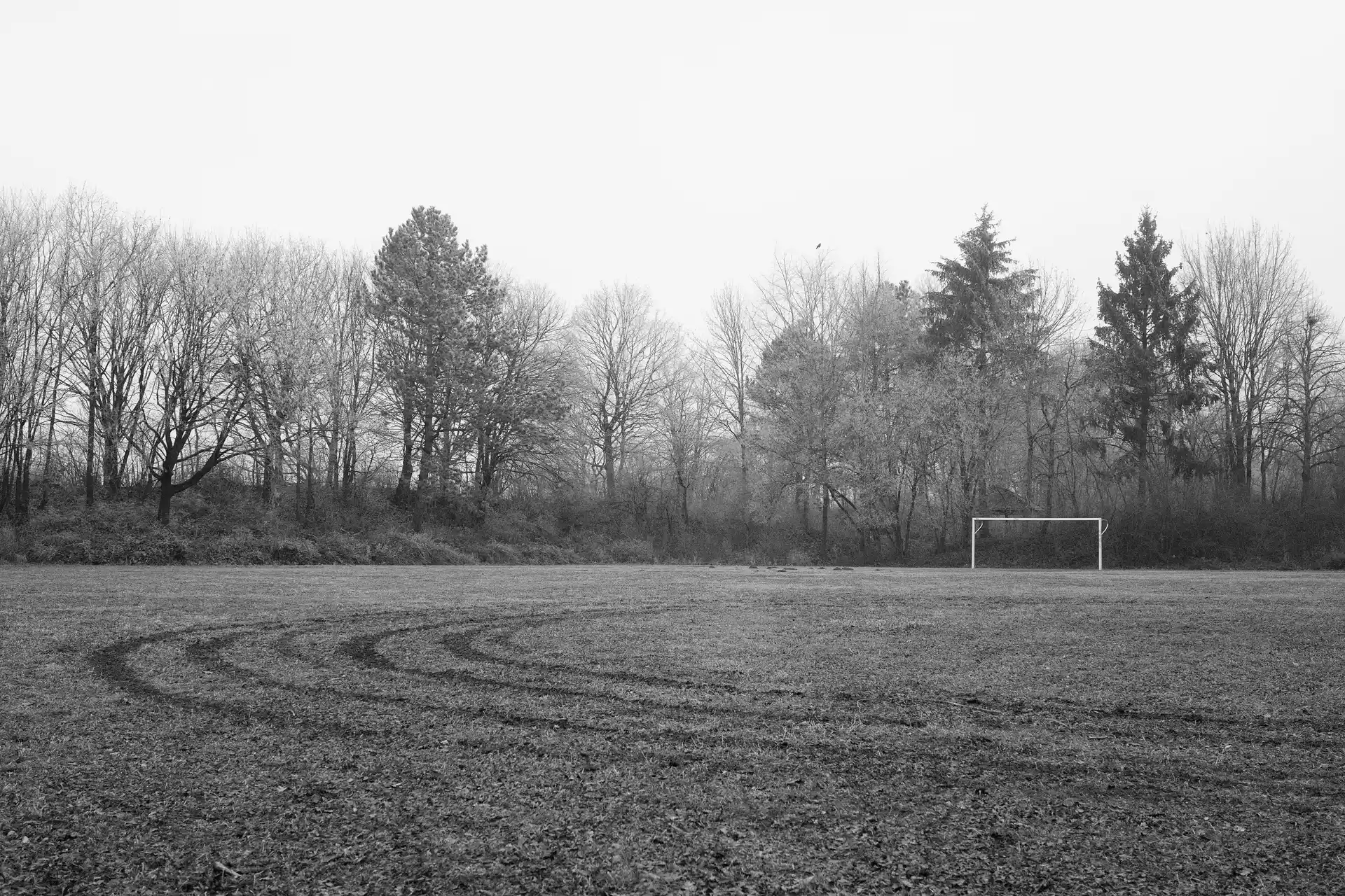 A black and white photo of a larger green. On the right side is a football goal. In the background are larger trees. At the bottom in the foreground are car tracks leading the viewer through the frame and to the goal.