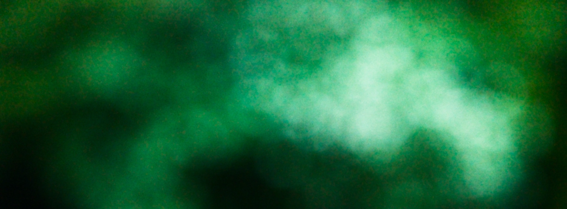 Abstract out of focus image with mainly dark greens except for on area with many blurred small bright circles.