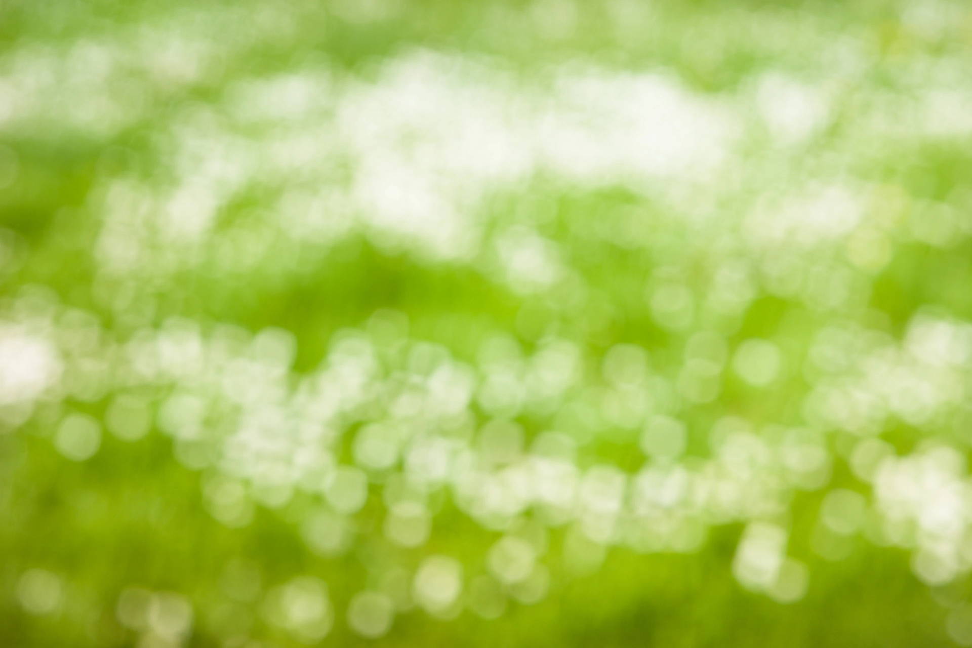 Abstract out of focus image of an light green background with many blurred small bright circles.